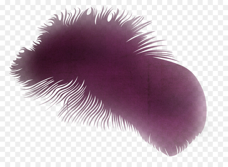 Plume，Violet PNG