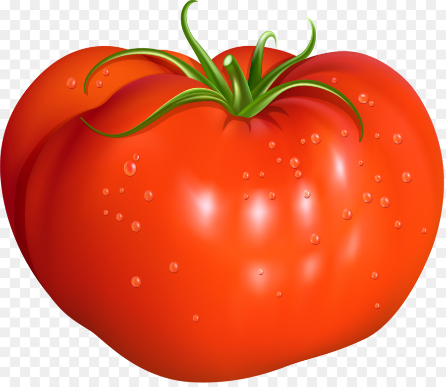 tomate rouge dessin png tomate rouge dessin transparentes png gratuit tomate rouge dessin png tomate