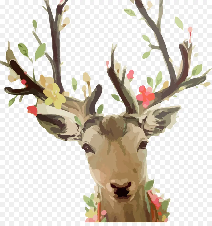 Cerf，Bois PNG