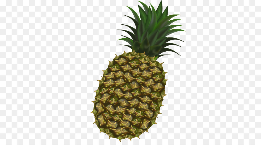 Ananas，Tropical PNG