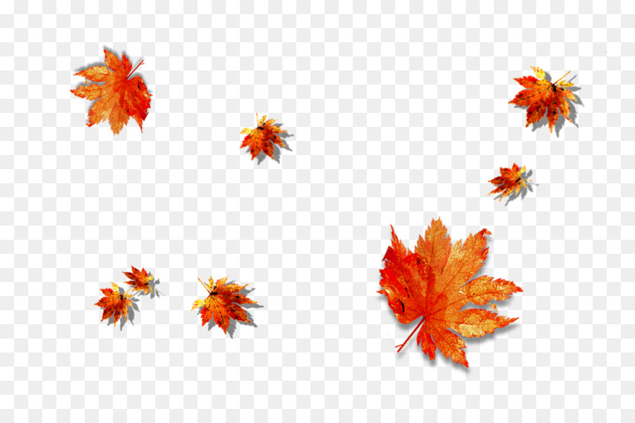 Feuilles D'automne，Automne PNG