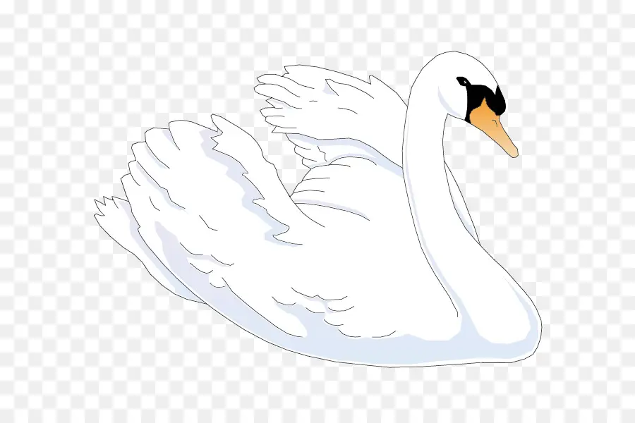 Cygne，Eau PNG