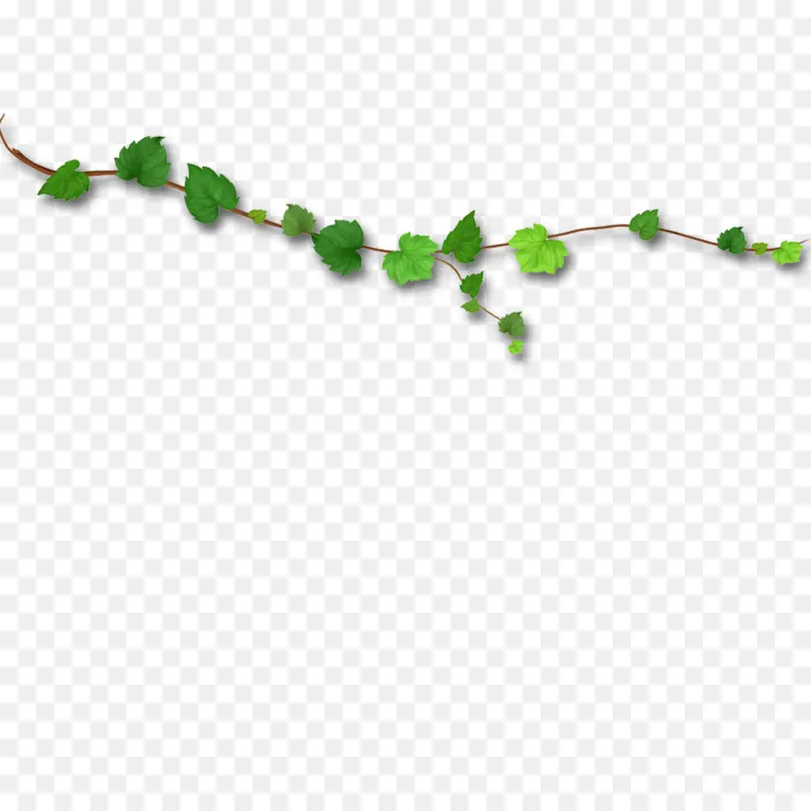 Vigne，Feuilles PNG