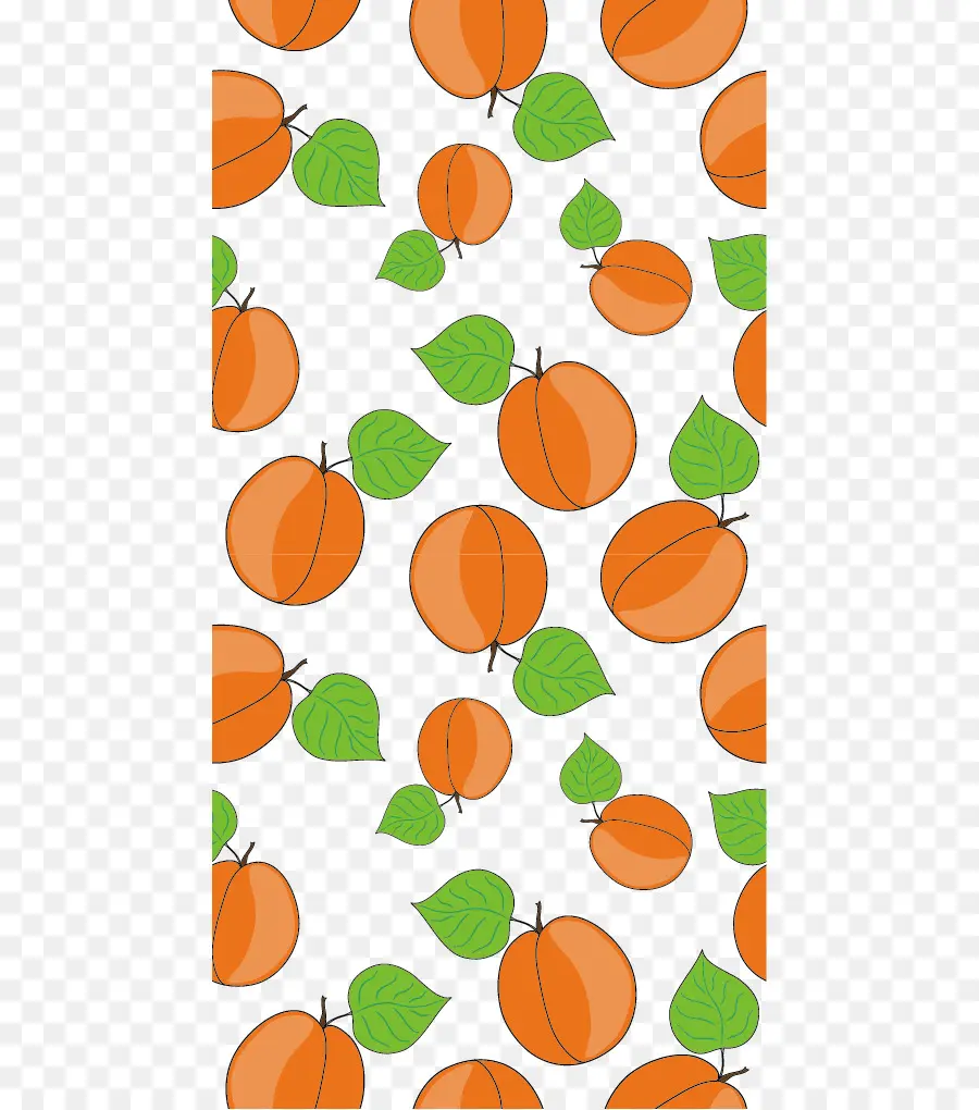 Fruits Oranges，Feuilles PNG