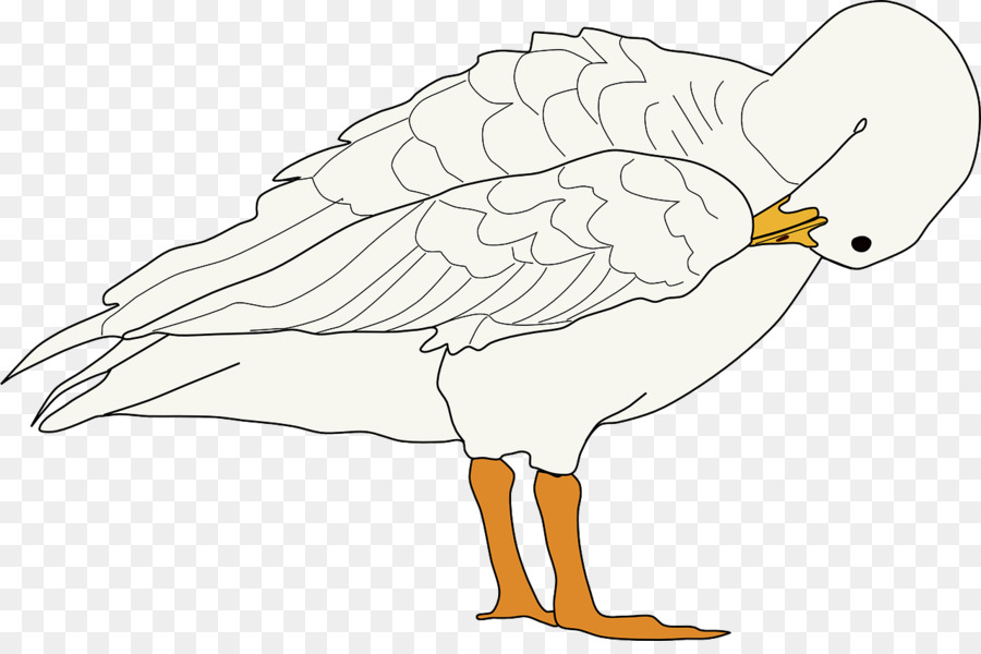 Oie，Oiseau PNG