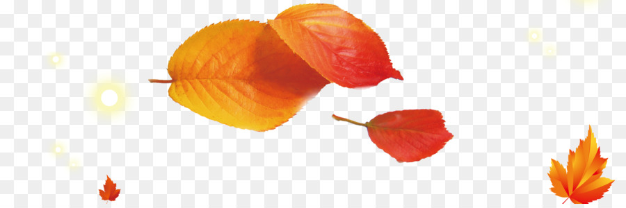 Feuilles Rouges，Automne PNG