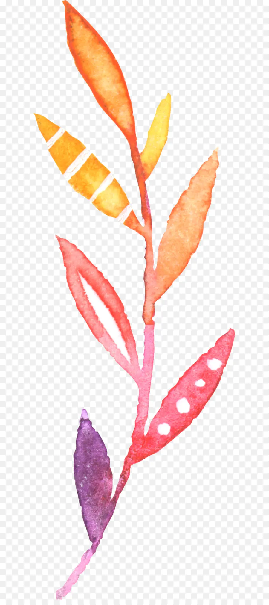 Aquarelle Fleurs，Peinture à L Aquarelle PNG