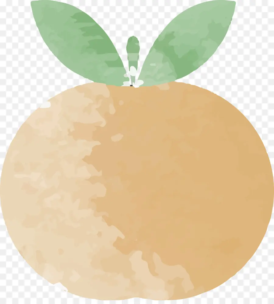 Orange，Feuilles PNG