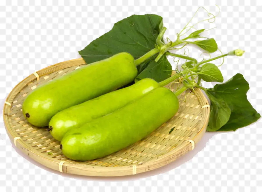 Gourdes Vertes，Panier PNG