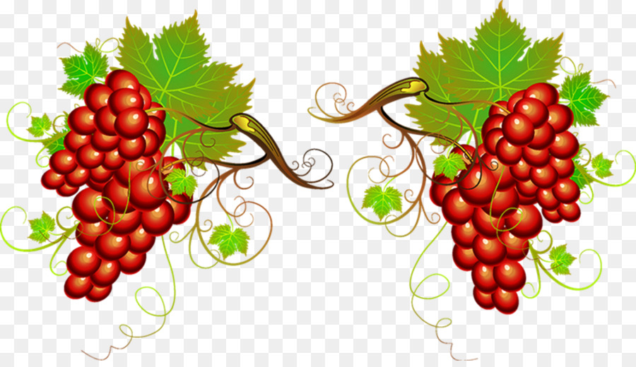 Raisins，Vigne PNG