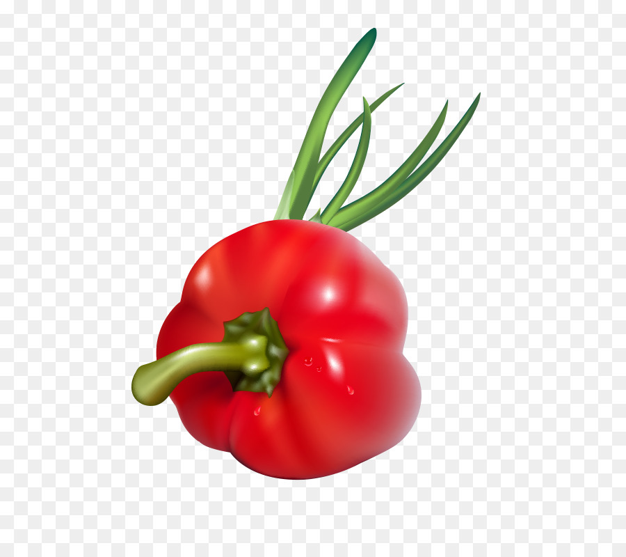 Tomate Rouge Et Poivron，Tomate PNG