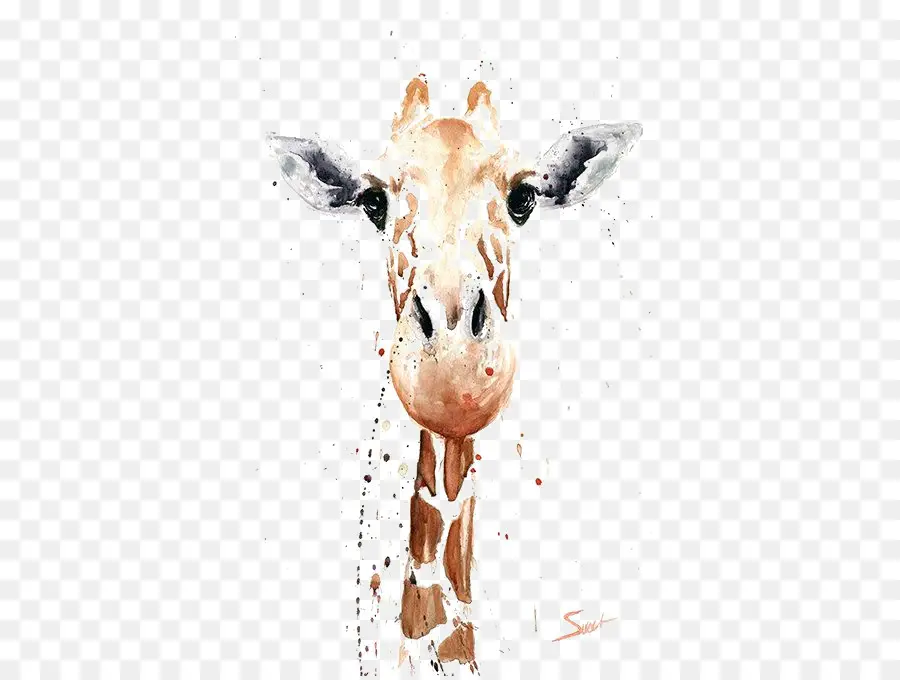 Girafe，Peinture à L Aquarelle PNG