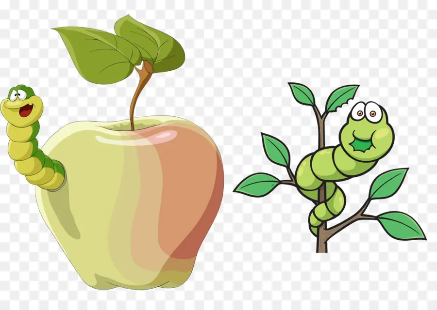 Ver Et Pomme，Fruit PNG