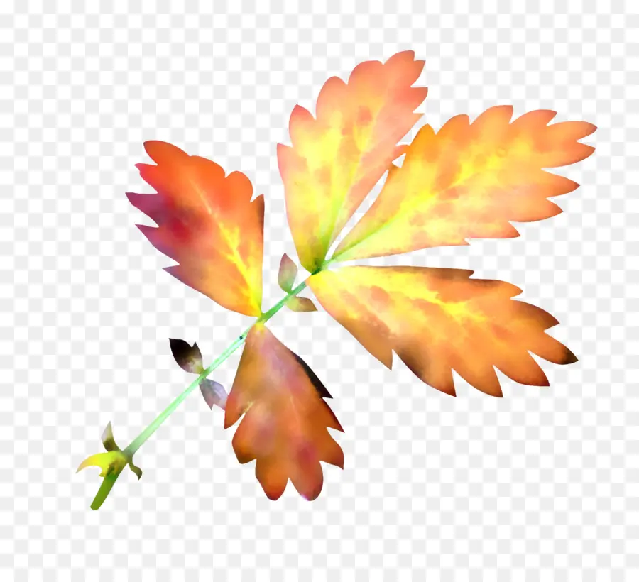 Feuilles D'automne，Automne PNG