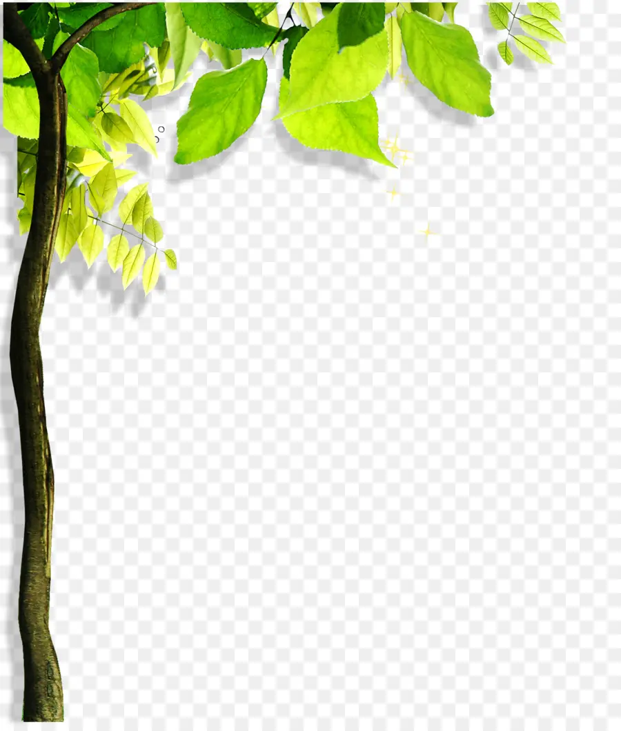 Arbre，Feuilles PNG