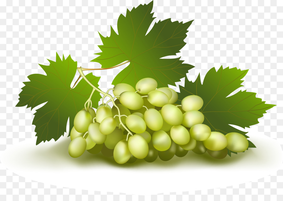 Raisins Verts，Feuille PNG