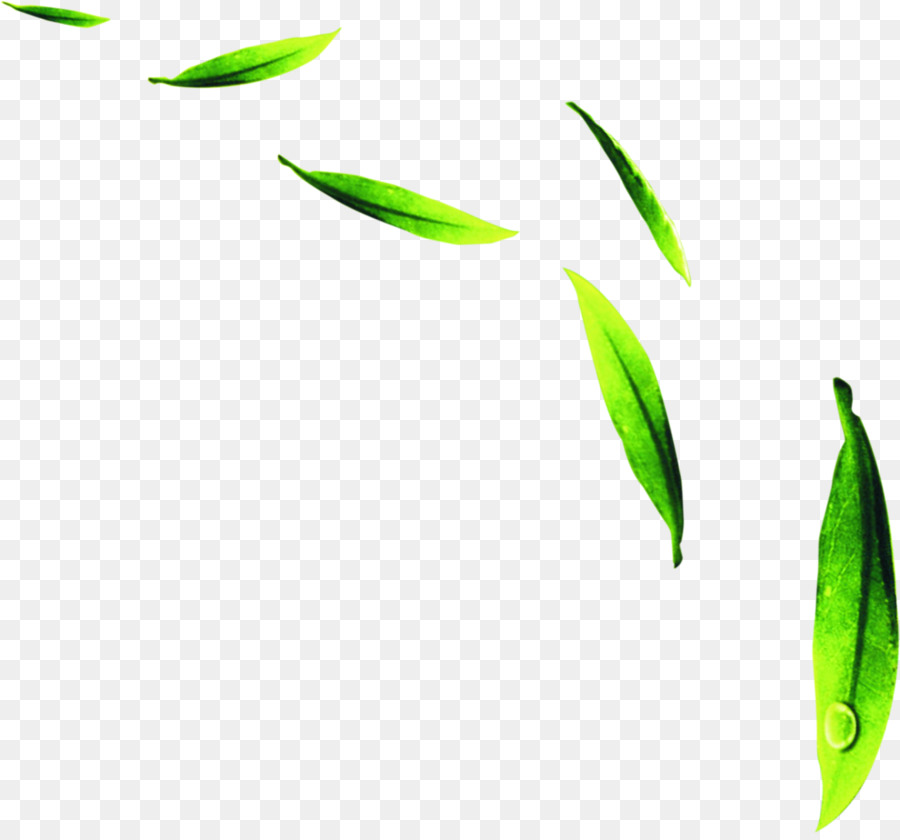 Feuilles Vertes，Usine PNG