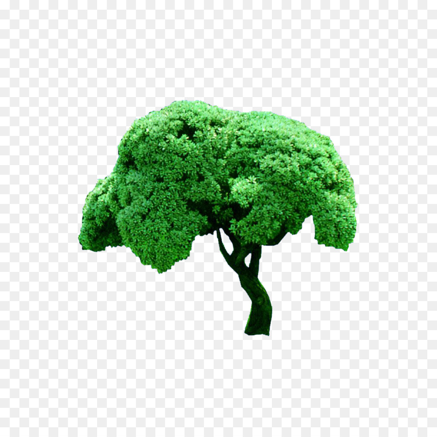 Arbre Vert，Nature PNG