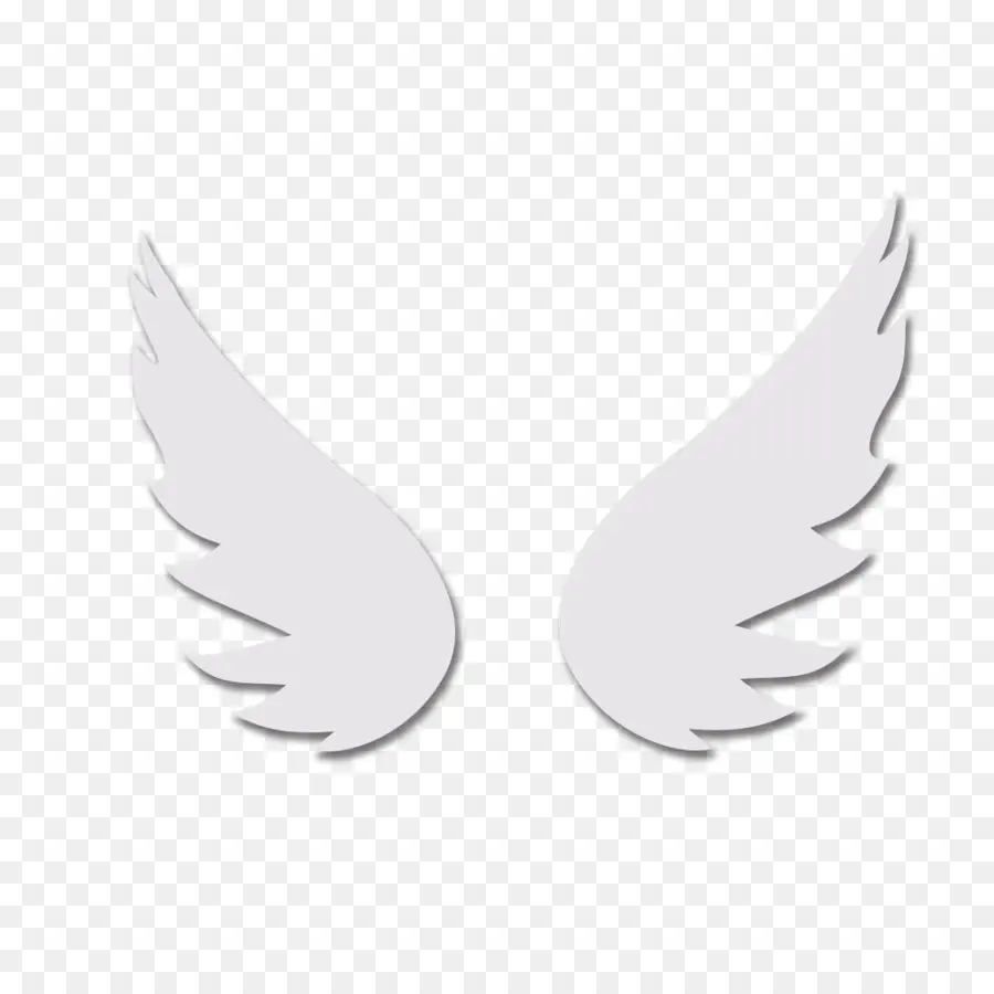 Ailes，Plumes PNG