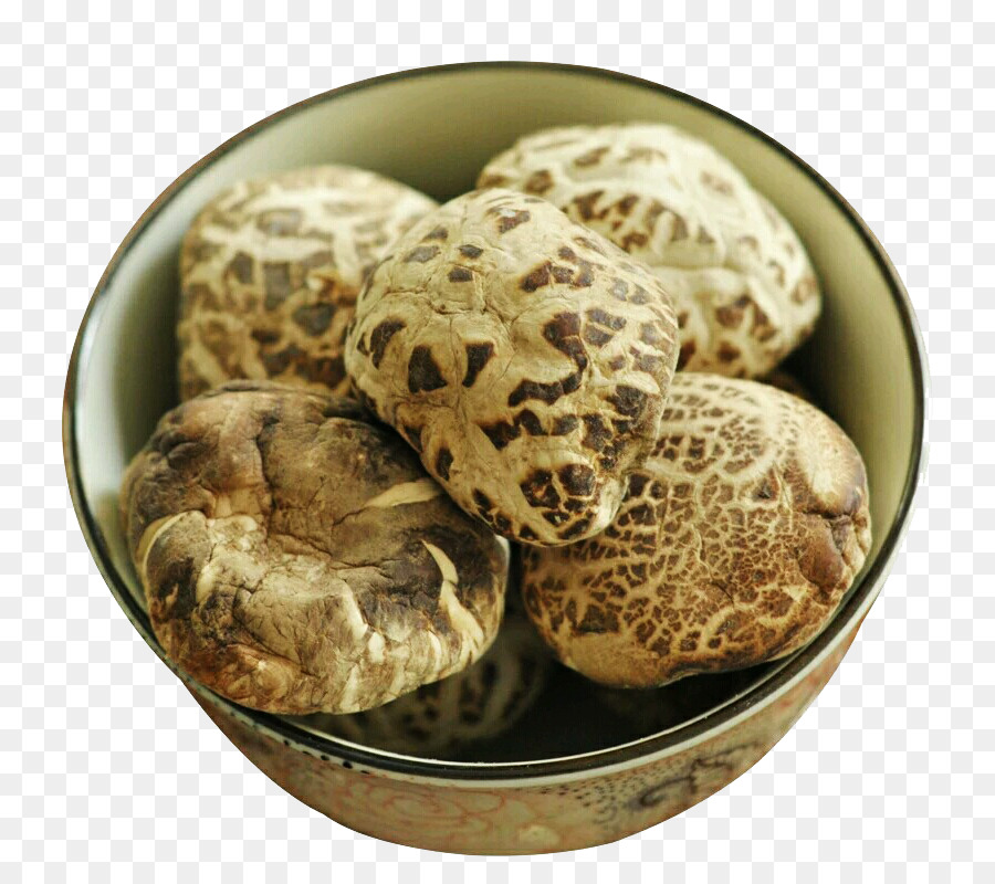 Champignon，Champignon Comestible PNG