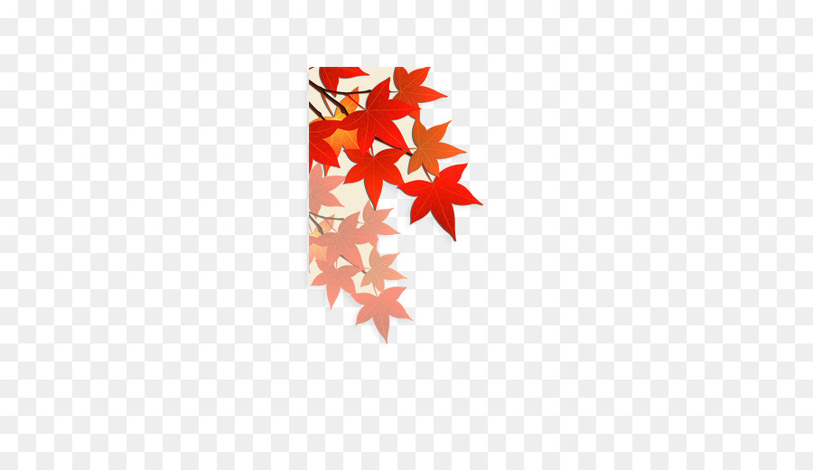 Feuilles D'érable，Automne PNG