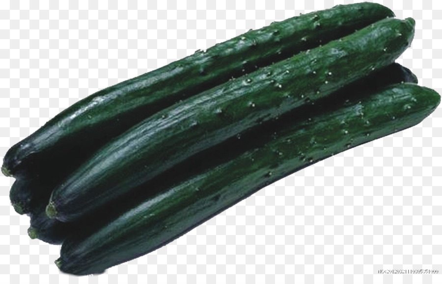 Courgettes，Vert PNG