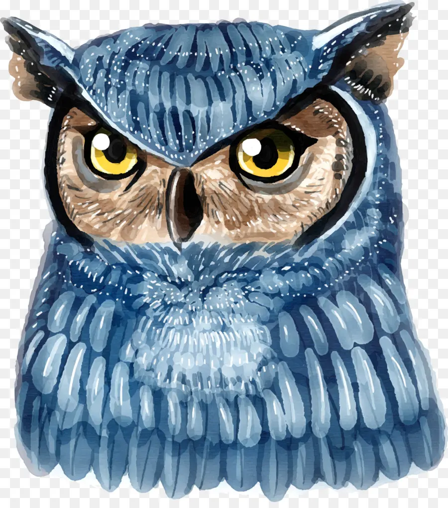 Hibou，Plumes PNG