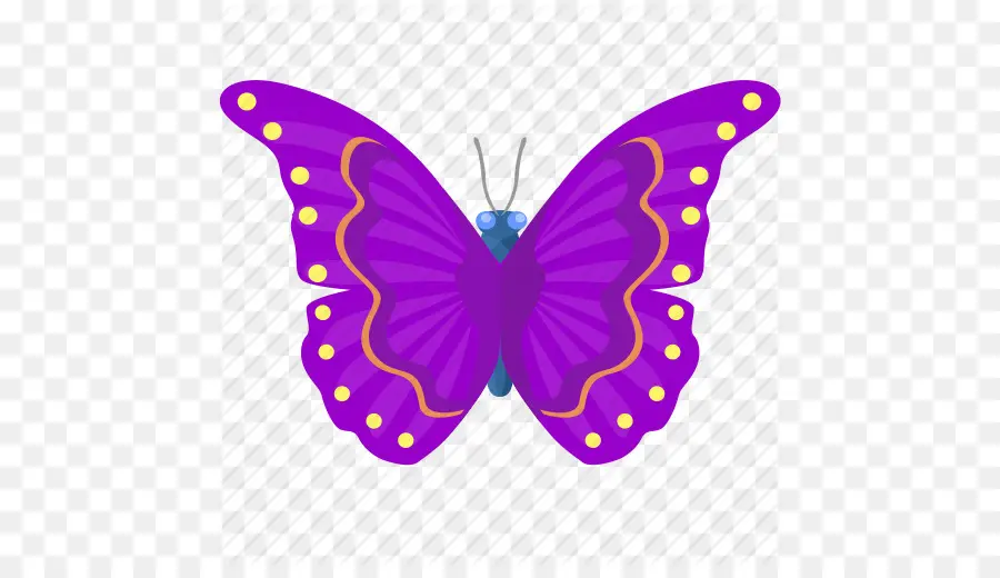 Papillon，Violet PNG