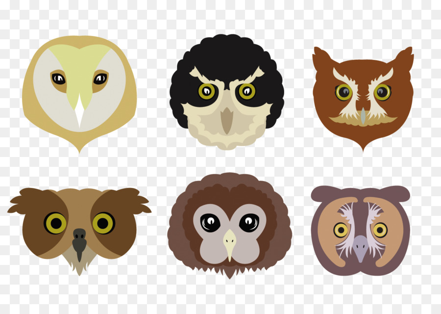 Visages De Hibou，Oiseaux PNG