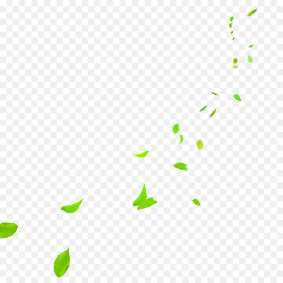 Feuilles，Vert PNG