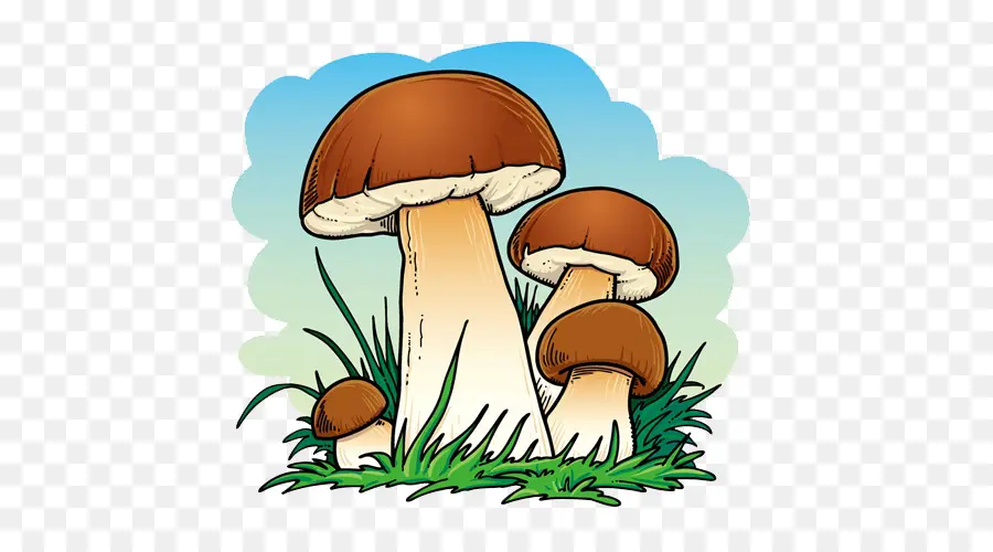 Champignons，Nature PNG