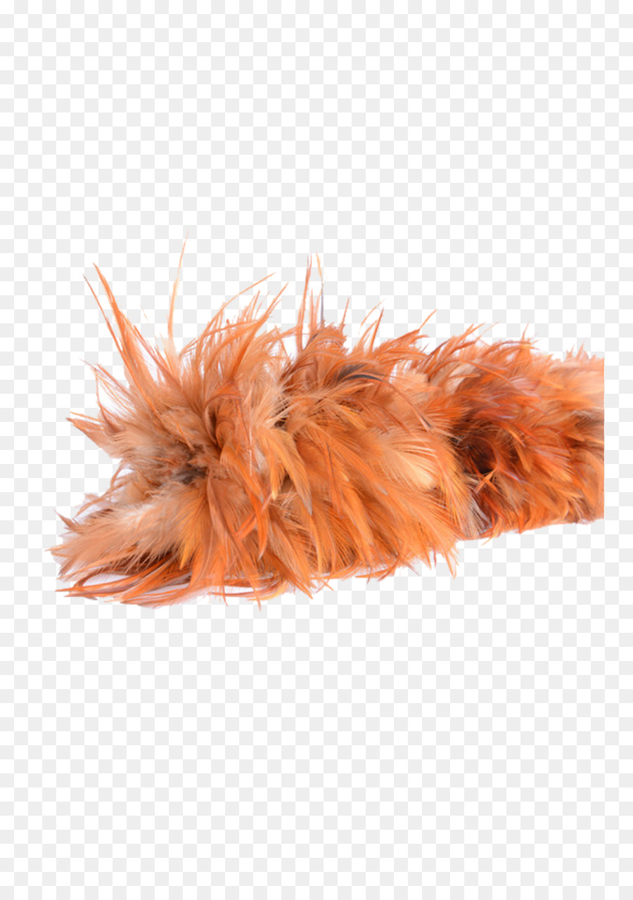 Plumes Moelleuses，Doux PNG