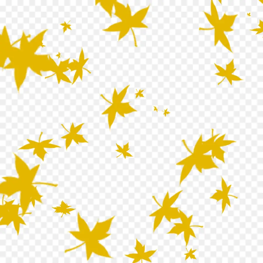 Feuilles Jaunes，Automne PNG