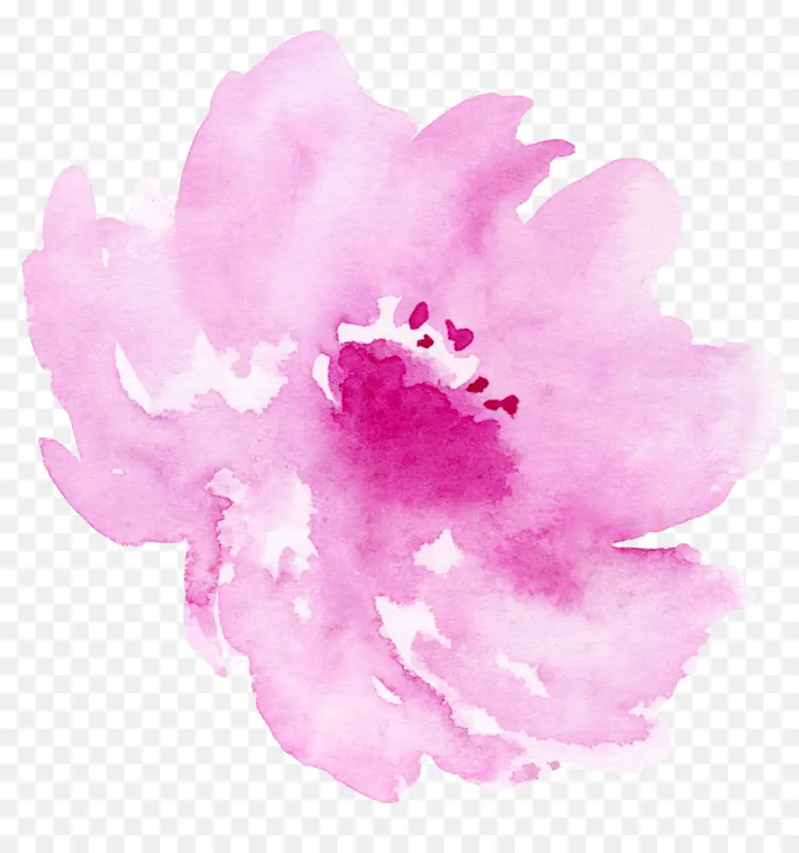 Fleur Rose，Aquarelle PNG