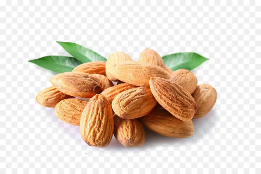 Amandes，Noix PNG