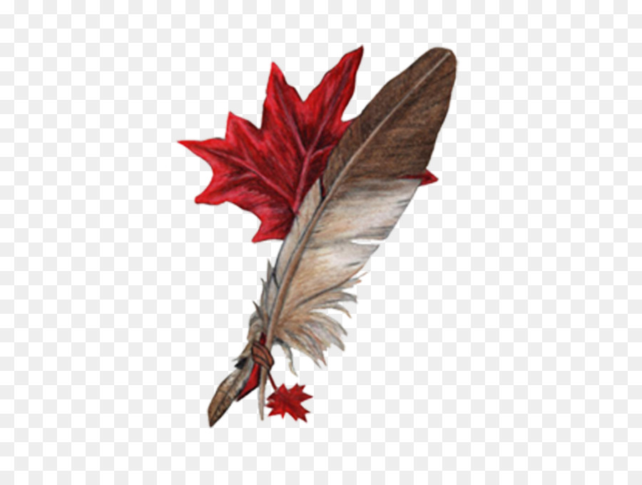 Plume Et Feuille D'érable，Automne PNG