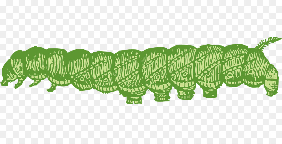 Chenille，Vert PNG