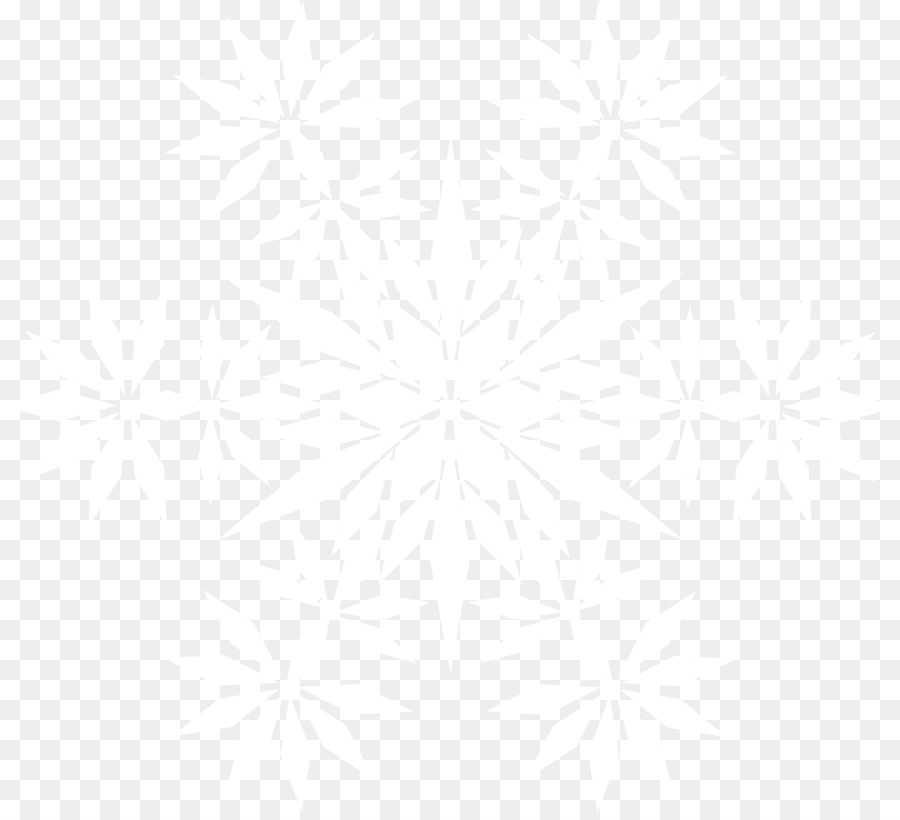 Motif Floral，Fleurs PNG