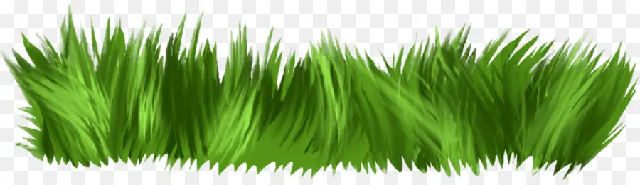 Herbe Verte，Herbe PNG