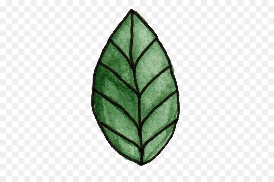 Feuille Verte，Feuille PNG