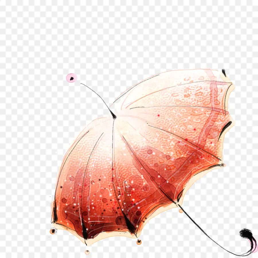 Parapluie，Dessin PNG