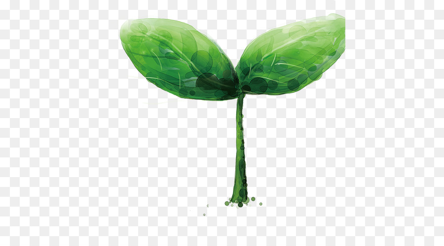 Plante Verte，Feuilles PNG