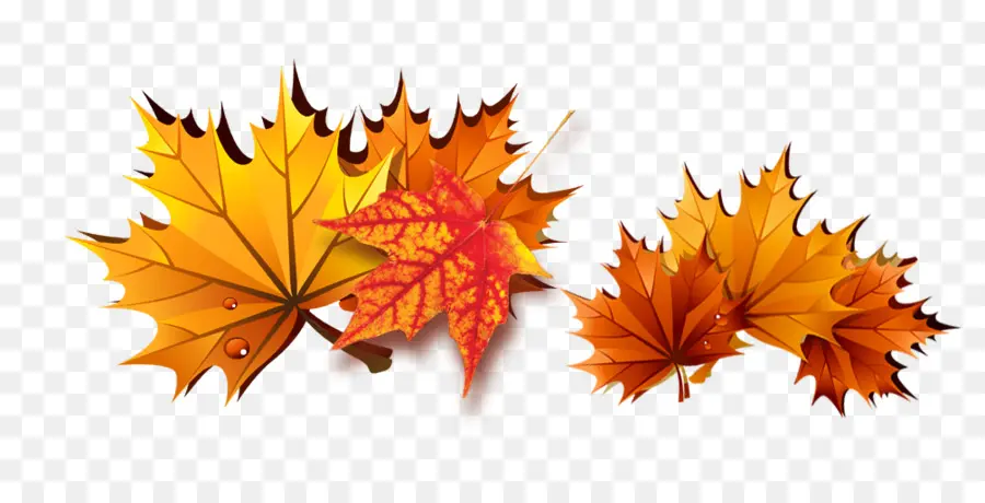 Feuilles D'automne，Automne PNG