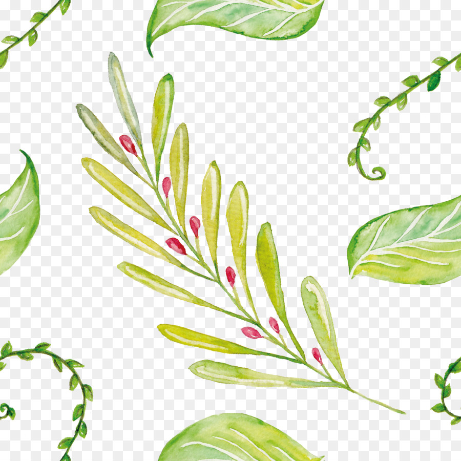 Feuilles Vertes，Aquarelle PNG