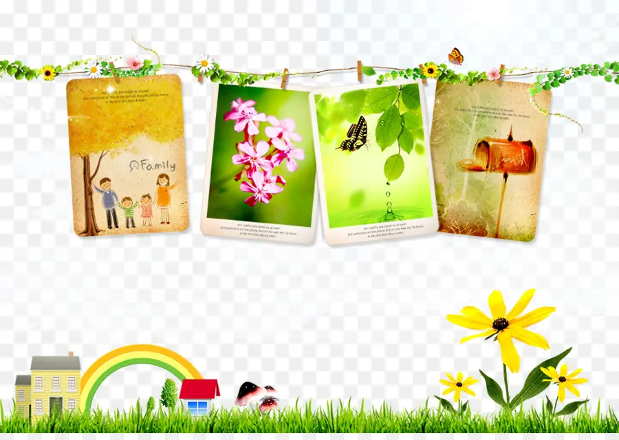 Cartes Photos，Fleurs PNG