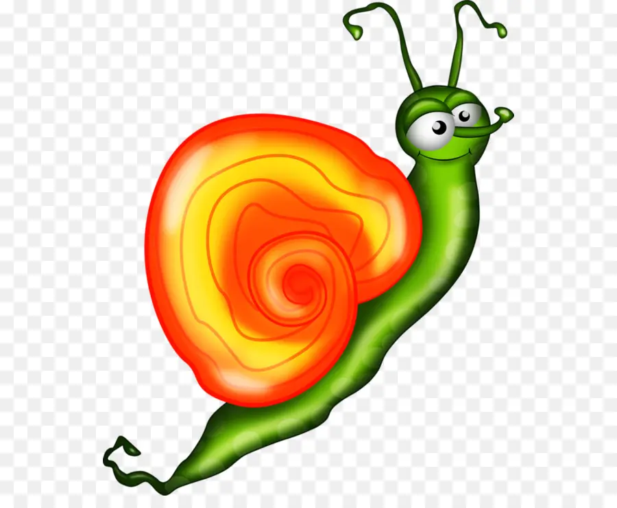 Escargot Coloré，Dessin Animé PNG