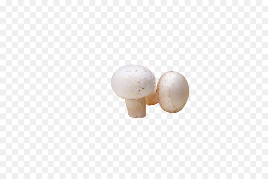 Champignon，Champignon Commun PNG