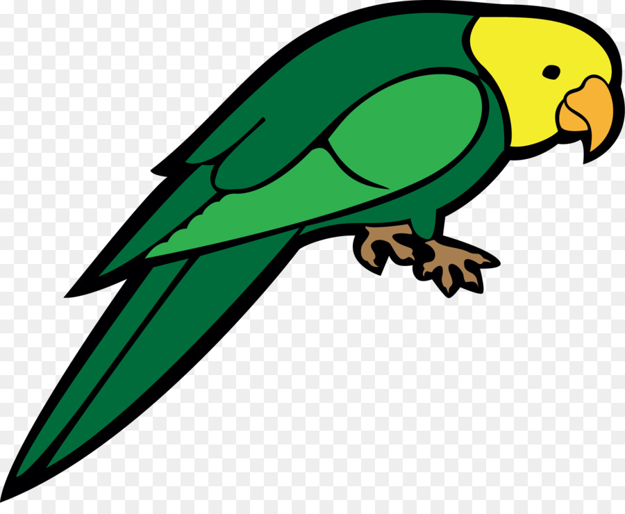 Perroquet，Oiseau PNG