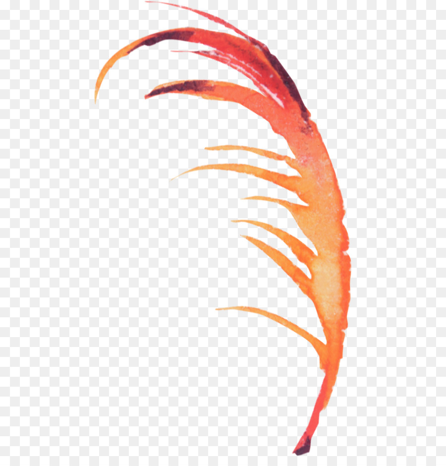 Plume，Oiseau PNG