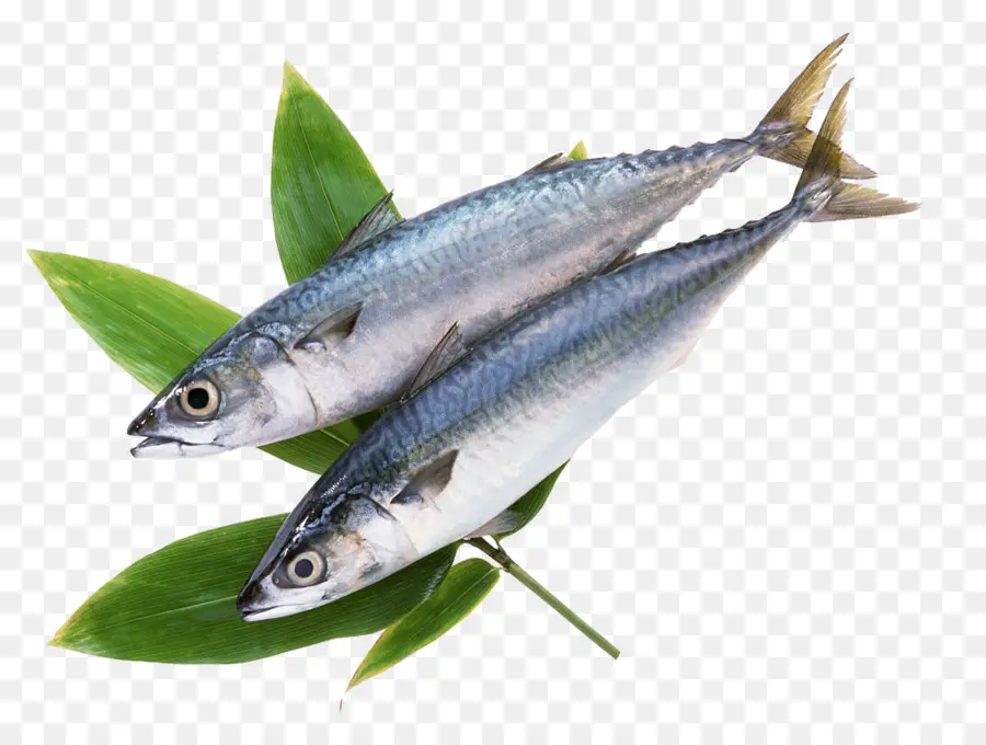 Deux Poissons，Feuilles PNG